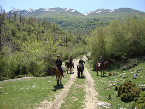 La Route de Zagoria